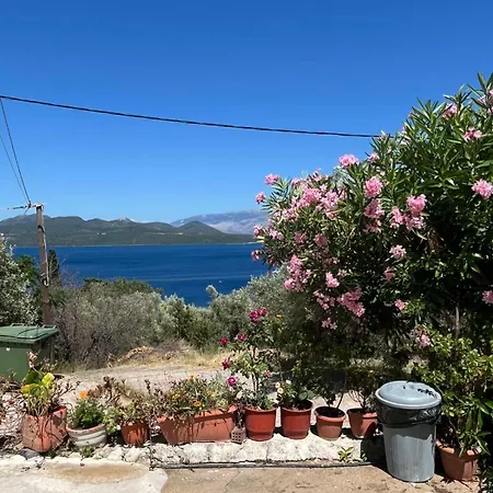 Nick House Apartament